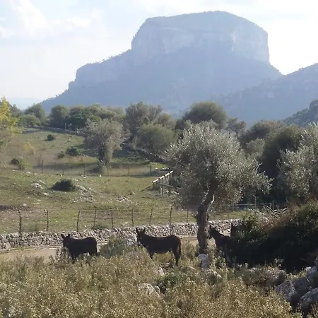 Ca'n Tiu Πανσιόν